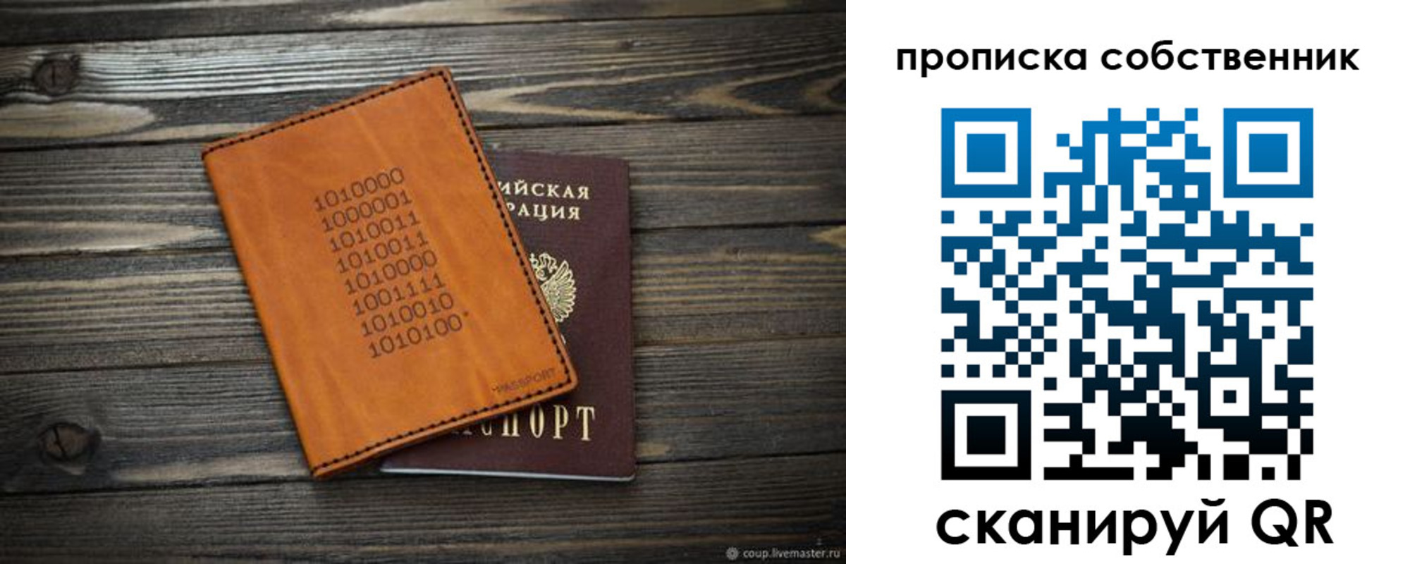 прописка для школы в Тольятти